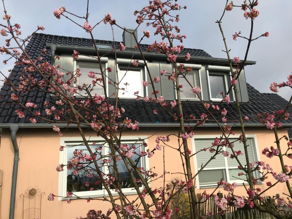 Kleine Auszeit Mit Aussicht Velbert Toenisheide Lägenhet Exteriör bild
