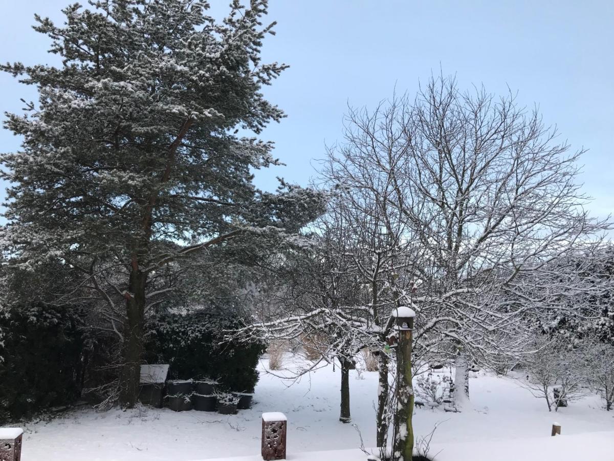 Kleine Auszeit Mit Aussicht Velbert Toenisheide Lägenhet Exteriör bild