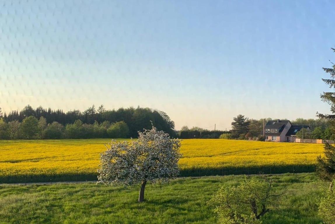 Kleine Auszeit Mit Aussicht Velbert Toenisheide Lägenhet Exteriör bild