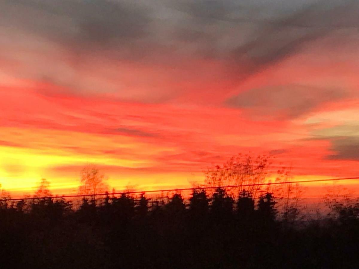 Kleine Auszeit Mit Aussicht Velbert Toenisheide Lägenhet Exteriör bild